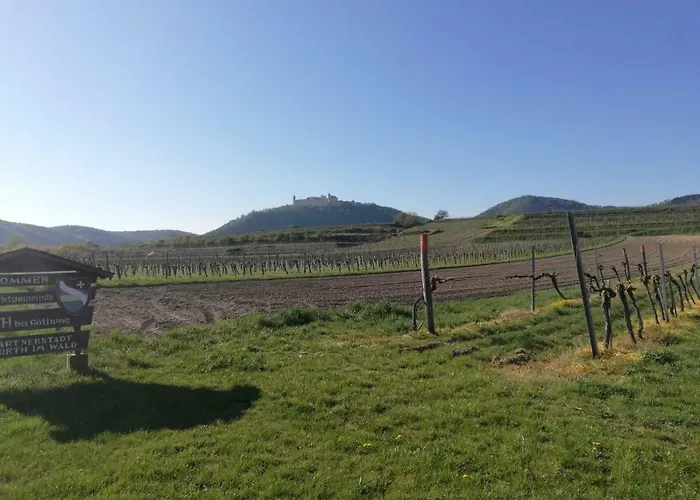 Apartmán Deisenberger